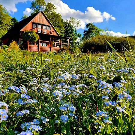 Piaskowy Kon - Mountain Lodge & Spa- Karkonosze Mniszkow  Exterior foto